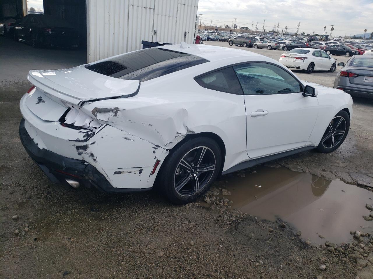 2024 Ford Mustang 1FA6P8TH2R5113265