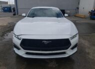 2024 Ford Mustang 1FA6P8TH2R5113265